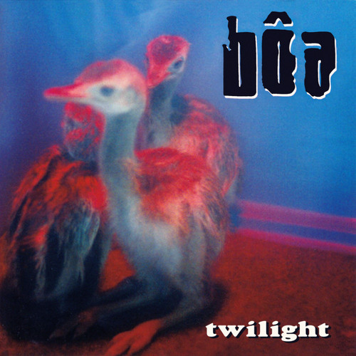 boa twilight album art